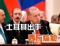  中印加勒万河谷完整视频 -九游游戏平台官网