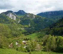 关于风云突变！俄克拉荷马雷霆清晨单刀错失，法国杯版图或变，气氛紧张，训练强度明显提升的信息-九游体育